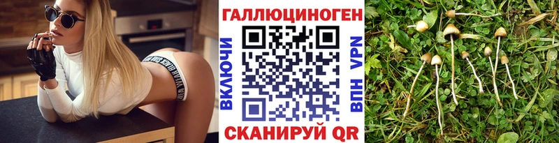 Галлюциногенные грибы Cubensis  наркотики  Стародуб 